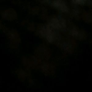 Meet your Posher, Ray